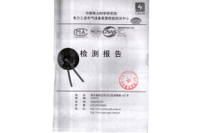 YH5WS-17-50 Arrester Report